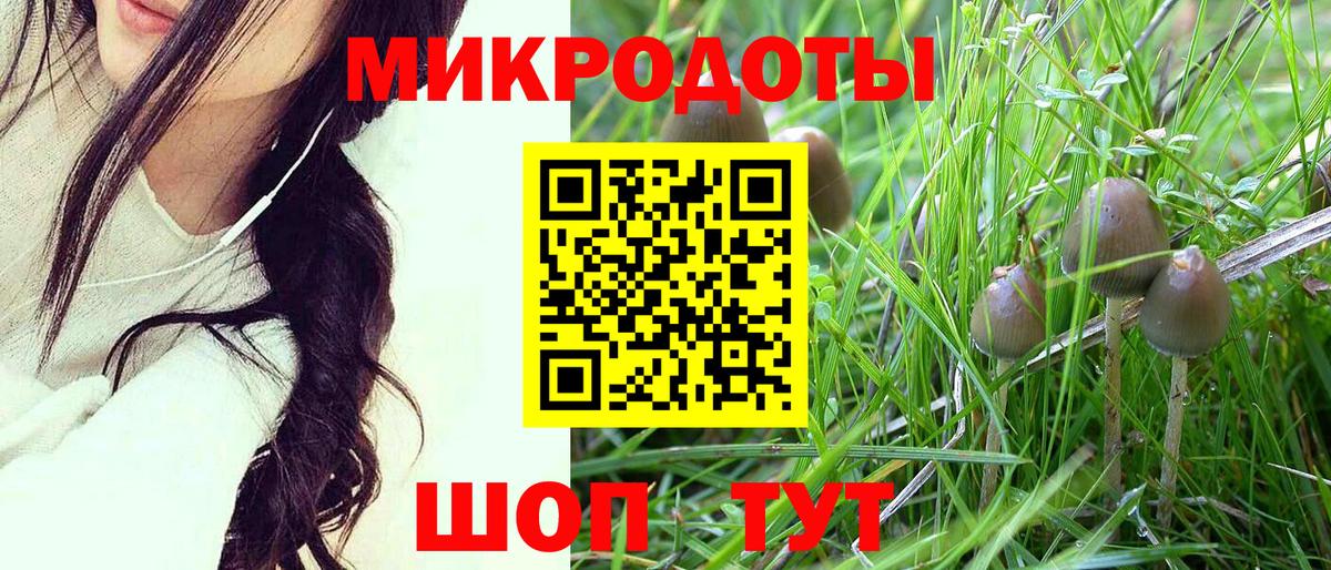 Смоленск  Галлюциногенные грибы Psilocybine cubensis  Вход с VPN 